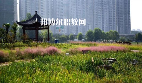 徐州生物工程職業(yè)技術(shù)學(xué)院中專部2022年報名條件、招生要求、招生對象