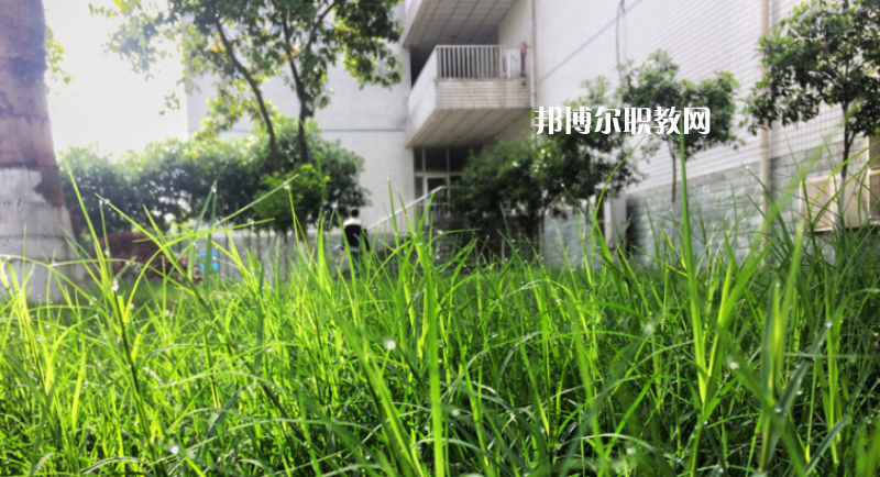 樂山計算機學(xué)校2022年學(xué)費、收費多少