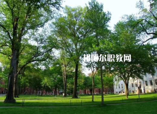 鎮(zhèn)雄縣職業(yè)高級(jí)中學(xué)2022年招生簡章