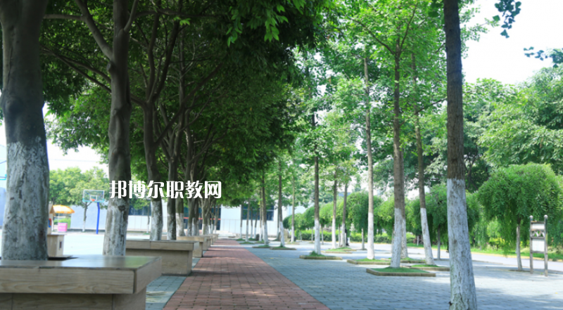 大關(guān)縣職業(yè)高級(jí)中學(xué)2022年學(xué)費(fèi)、收費(fèi)多少