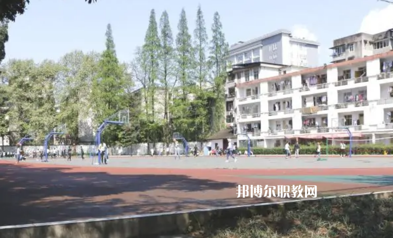 四川省檔案學(xué)校2022年報(bào)名條件、招生要求、招生對象