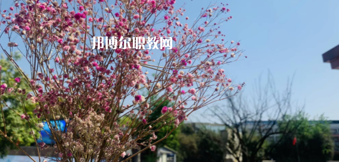 成都華大醫(yī)藥衛(wèi)生學校怎么樣、好不好