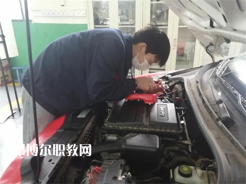 四川省達(dá)縣職業(yè)高級(jí)中學(xué)2022年有哪些專(zhuān)業(yè)