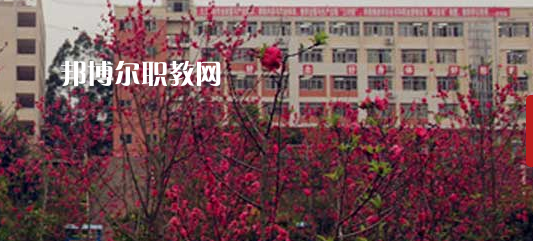 岑溪市中等專業(yè)學校2022年報名條件、招生要求、招生對象