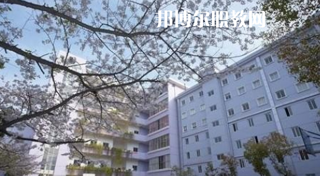 武漢體育舞蹈藝術(shù)學(xué)校2022年怎么樣、好不好