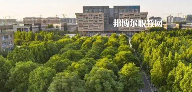 2023山東十大?？茖W校名單及排行榜