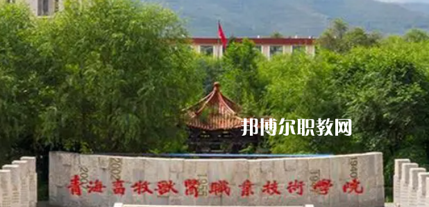 青海高職?？拼髮W(xué)2023年排名(文科)