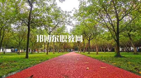 2023年四川國盛技工學(xué)校醫(yī)護(hù)救援部學(xué)費(fèi)、收費(fèi)多少