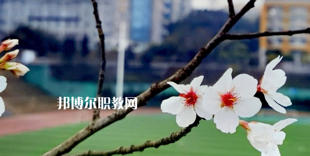 2023眉山技師學(xué)院招生計劃 招生人數(shù)是多少(附要求、條件、對象)