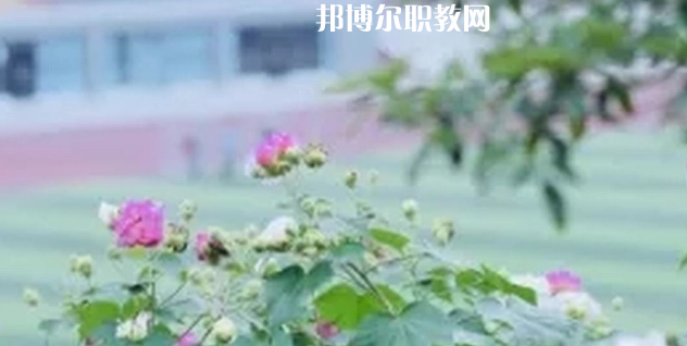 眉山技師學(xué)院地址在哪里，哪個(gè)地區(qū)，哪個(gè)城市?