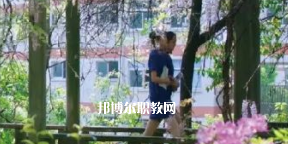2023金華市成功學(xué)校招生計劃 招生人數(shù)是多少(附要求、條件、對象)