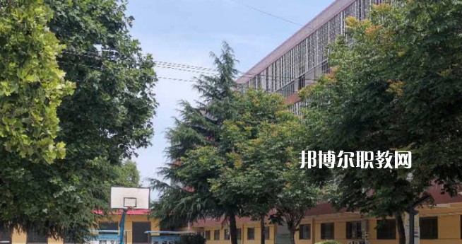 2023楊凌師范學(xué)校招生計(jì)劃 招生人數(shù)是多少(附要求、條件、對(duì)象)