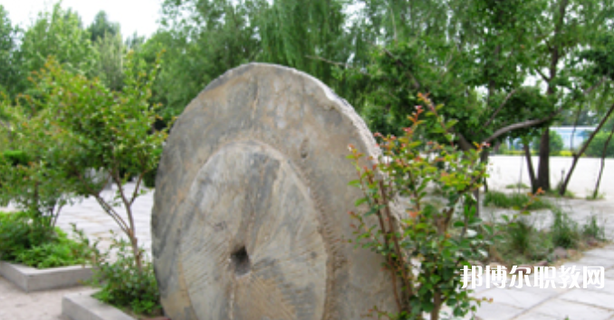 野風(fēng)美術(shù)中學(xué)怎么樣、好不好