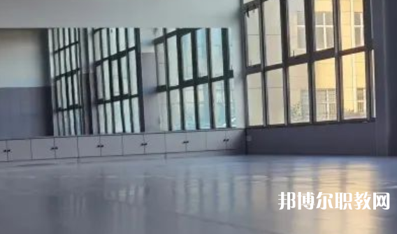 2023秦皇島市藝新舞蹈學(xué)校招生計劃 招生人數(shù)是多少(附要求、條件、對象)