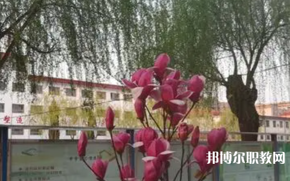 2023柏鄉(xiāng)縣職教中心招生計(jì)劃 招生人數(shù)是多少(附要求、條件、對(duì)象)
