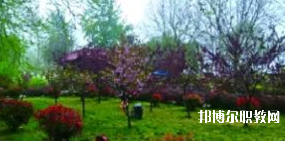 2023隆堯縣職業(yè)技術(shù)教育中心招生計(jì)劃 招生人數(shù)是多少(附要求、條件、對(duì)象)