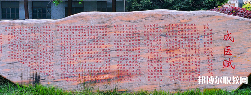 成都成醫(yī)一附院護(hù)士學(xué)校2024年學(xué)費(fèi)、收費(fèi)多少