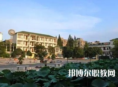 鐘祥志強職業(yè)中學(xué)2023年招生錄取分數(shù)線（2024參考）