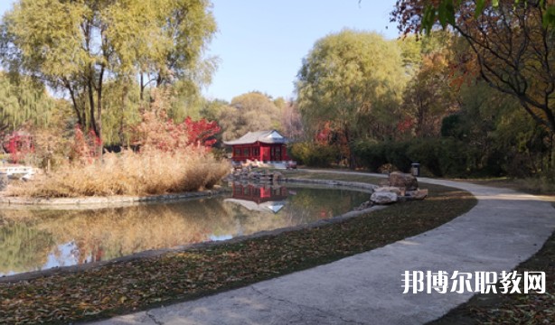 2024沈陽職業(yè)技術(shù)學(xué)院附屬中等專業(yè)學(xué)校招生計劃 招生人數(shù)是多少(附要求、條件、對象)