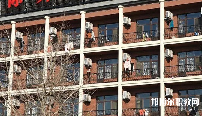 2024大連國際舞蹈學(xué)校招生計劃 招生人數(shù)是多少(附要求、條件、對象)