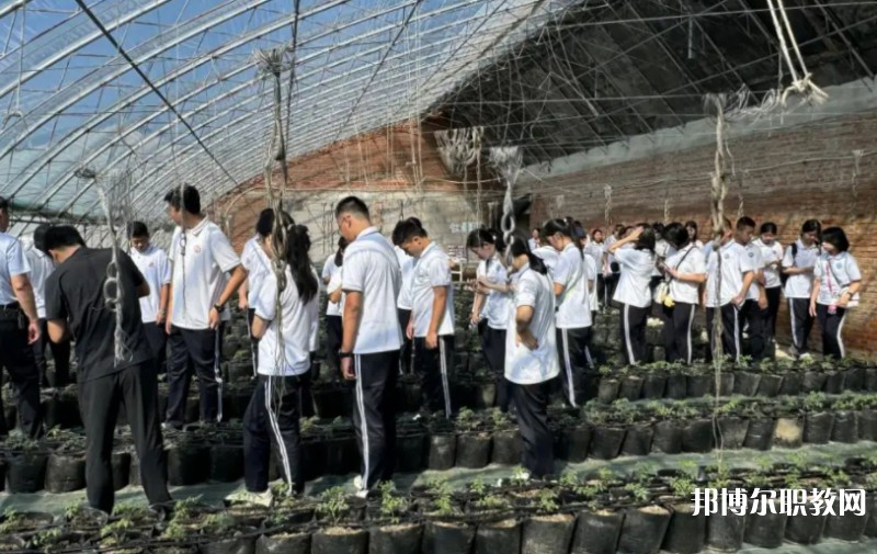 2024營口市農業(yè)工程學校招生計劃 招生人數(shù)是多少(附要求、條件、對象)