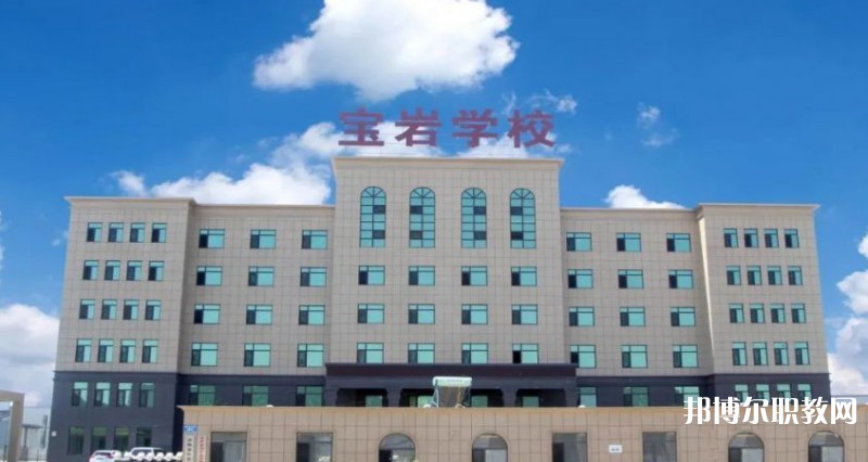 2025沈陽寶巖藝術(shù)學(xué)校招生計(jì)劃 招生人數(shù)是多少(附要求、條件、對(duì)象)