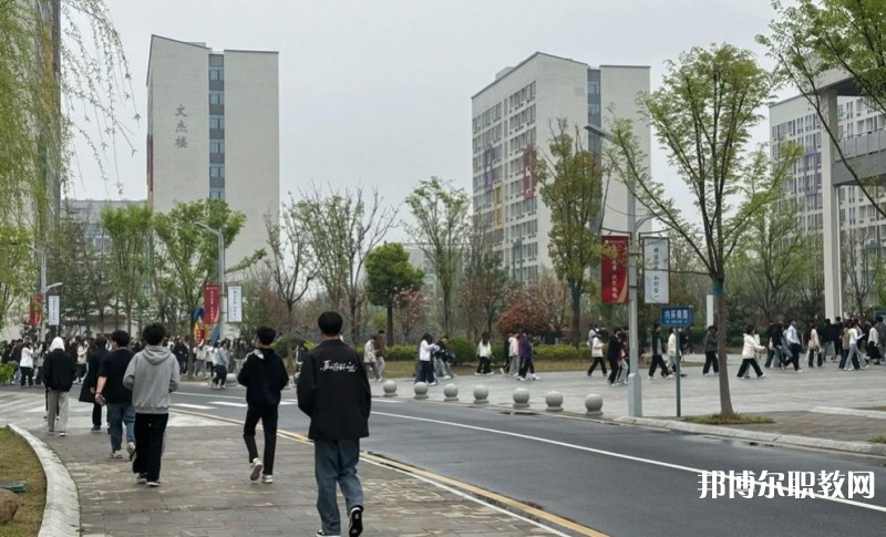 2025合肥技師學(xué)院招生計劃 招生人數(shù)是多少(附要求、條件、對象)