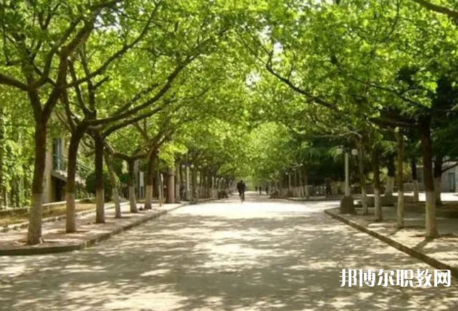 成都2025年讀鐵路學?？梢钥即髮W嗎